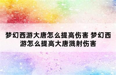 梦幻西游大唐怎么提高伤害 梦幻西游怎么提高大唐溅射伤害